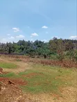 1/4 Acre Residential Plot Off Kiambu Road - 5