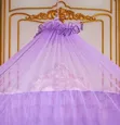 Brand New Mosquito Nets - Home Interiors - 2