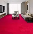 Delta Carpet ya Ukuta kwa Ukuta - 4mm - 2