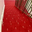 Premium VIP Carpet - 10mm Thickness - 2