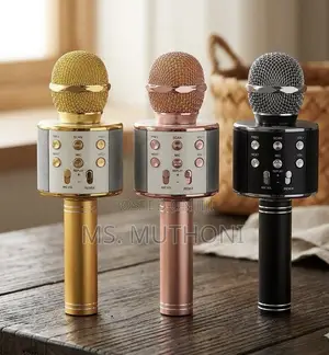 Microphone ya Kuimba ya Watoto Isiyo na Waya ya Bluetooth na Spika na Echo