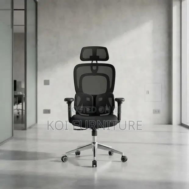 Executive Boss Orthopedic Office Chair with Dual Back - 1