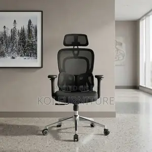 Executive Boss Orthopedic Office Chair with Dual Back