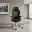Executive Boss Orthopedic Office Chair with Dual Back - 2