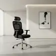 Executive Boss Orthopedic Office Chair with Dual Back - 3