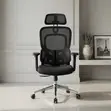 Executive Boss Orthopedic Office Chair with Dual Back - 4
