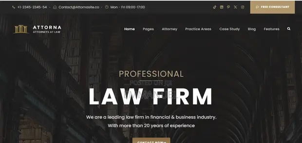 Professional Business Website Design & Hosting - 1