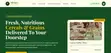 Professional Business Website Design & Hosting - 2
