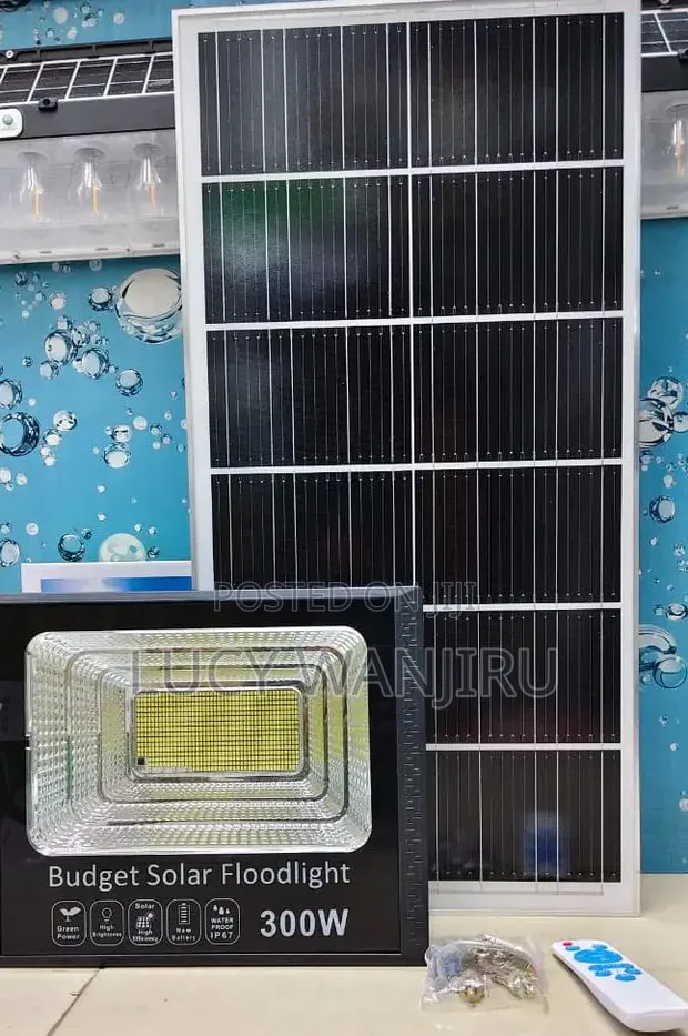 Mwanga wa Solar wa Bajeti wa Watts 300 - 1