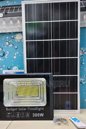 Mwanga wa Solar wa Bajeti wa Watts 300