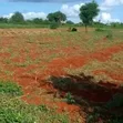 Hekta 247 za Ardhi ya Kahawa kwa Uuzaji, Kiambu Kamiti Road - 1
