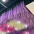 Artificial Wisteria Flowers | Hanging Wisteria for Hotels, Offices, Homes - 2