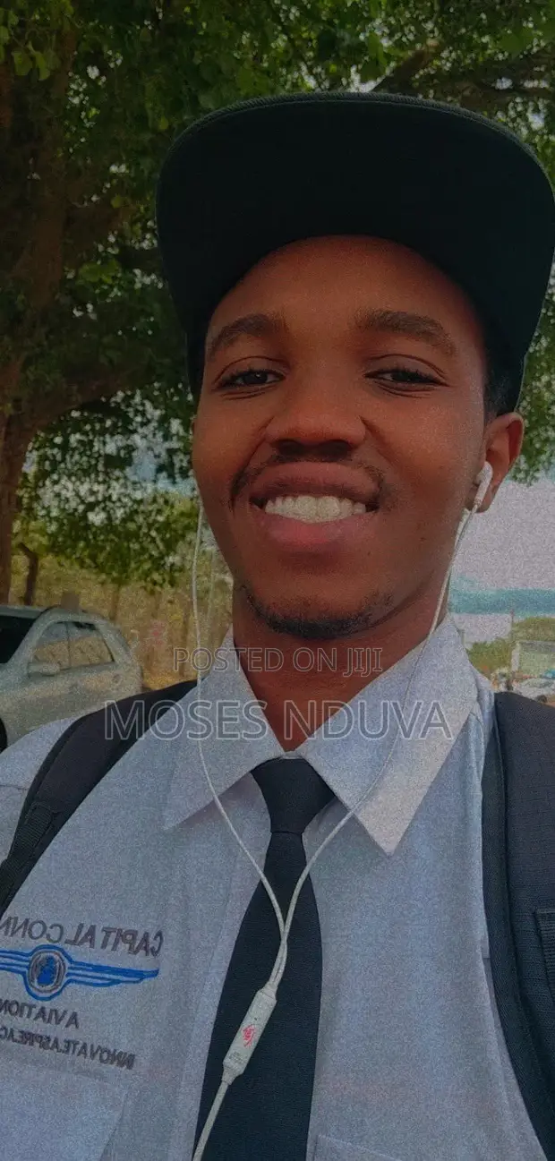 Driver and Delivery Professional CV - Moses - 1
