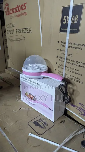 Boiler ya Mayai ya Umeme - Kupika Haraka na Rahisi