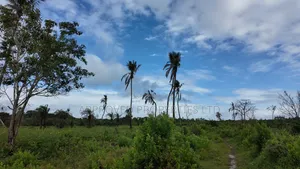 Galu Beach Plots, Diani – 50x100 Plots, 800m to Beach
