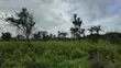 Galu Beach Plots, Diani – 50x100 Plots, 800m to Beach - 3