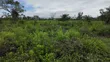 Galu Beach Plots, Diani – 50x100 Plots, 800m to Beach - 4