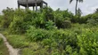 Galu Beach Plots, Diani – 50x100 Plots, 800m to Beach - 5