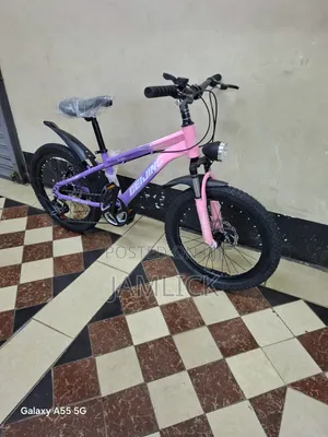 20-Inch Bicycle with Gears and Disc Brakes