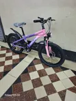 20-Inch Bicycle with Gears and Disc Brakes - 1