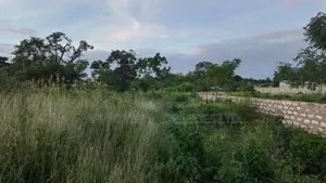Vipande 50x100 vya Uuzaji Nanyuki, Segera