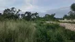 Vipande 50x100 vya Uuzaji Nanyuki, Segera - 1