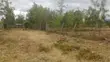 Vipande 50x100 vya Uuzaji Nanyuki, Segera - 2