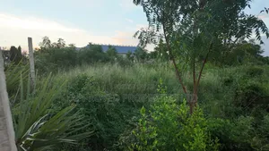 Vipande 50x100 Vinauzwa Nanyuki, Karibu na Ol Pejeta