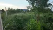 Vipande 50x100 Vinauzwa Nanyuki, Karibu na Ol Pejeta - 2