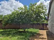 Nyumba ya Vyumba 2 vya Kulala Inauzwa Ukunda (Kona Musa) - 5