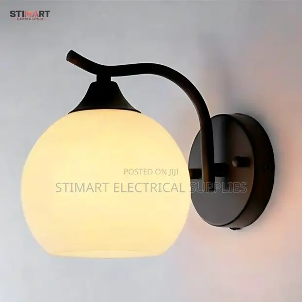 Elegant Frosted Glass Globe Wall Lamp - 1