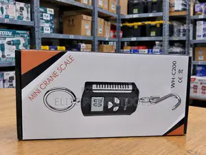 WH-C200 Mini Crane Scale 200kg