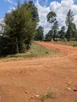 Prime 1/4 Acre Land in Eldoret (Royalton Area) - 1