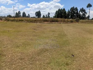 Prime 1/4 Acre Land in Eldoret (Royalton Area)
