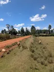 Prime 1/4 Acre Land in Eldoret (Royalton Area) - 5