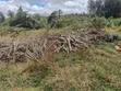 Mkaa Kavu Unauzwa - 5