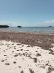 Ardhi ya Pwani Mtwapa Kikambala Mombasa - Eka 20 - 1