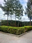 Maisonette ya Vyumba 5 vya Kulala kwa Uuzaji Kitengela - 3