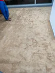 Carpet za Sakafu za Nyumba za VIP Nyeupe Nyeupe 10mm Nene - 1