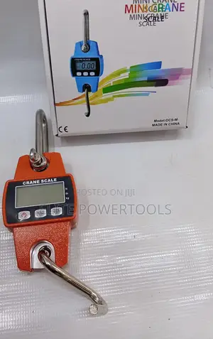 OCS-M 300kg Mini Crane Scale