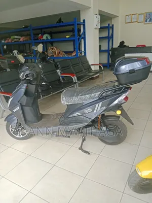 New Electric Scooter 2025 Gray