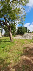 Eneo Bora la Eka 1 Kibiashara Linauzwa, Links Road Nyali - 4