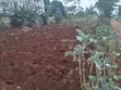 50x100 Plots for Sale in Waguthu - 2