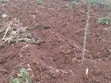 50x100 Plots for Sale in Waguthu - 3