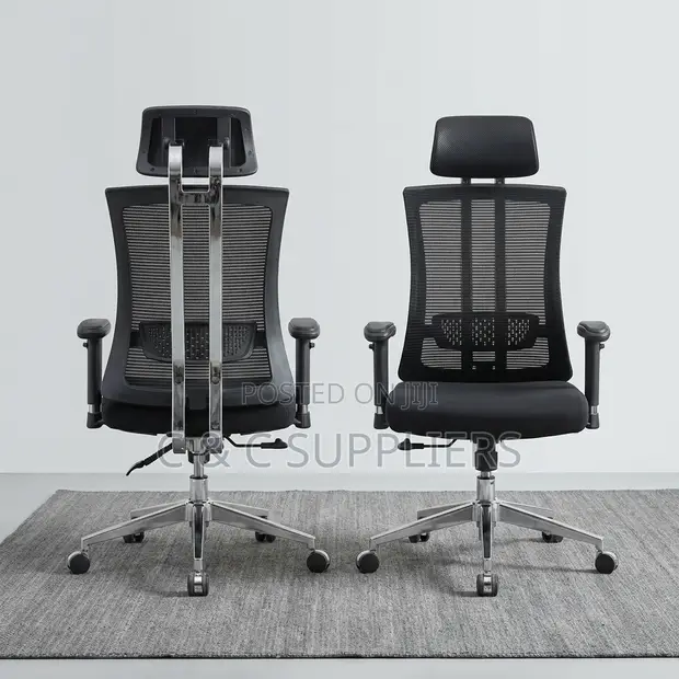 Kiti cha Ofisi cha Ergonomic cha Mtendaji chenye Usaidizi wa Kiuno - 1
