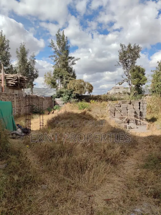 Athi River: Prime 50x100 Plot on Mombasa Road - 1