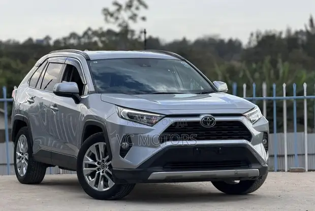 Toyota RAV4 Adventure 2019 Gray - 1