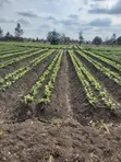 Eneo Bora la Eka 20 kwa Uuzaji Kisaju - 2