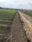 Eneo Bora la Eka 20 kwa Uuzaji Kisaju - 3