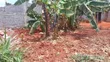 Kiwanja cha Kuuzwa Mugutha (Mradi Uliokwama) - 2